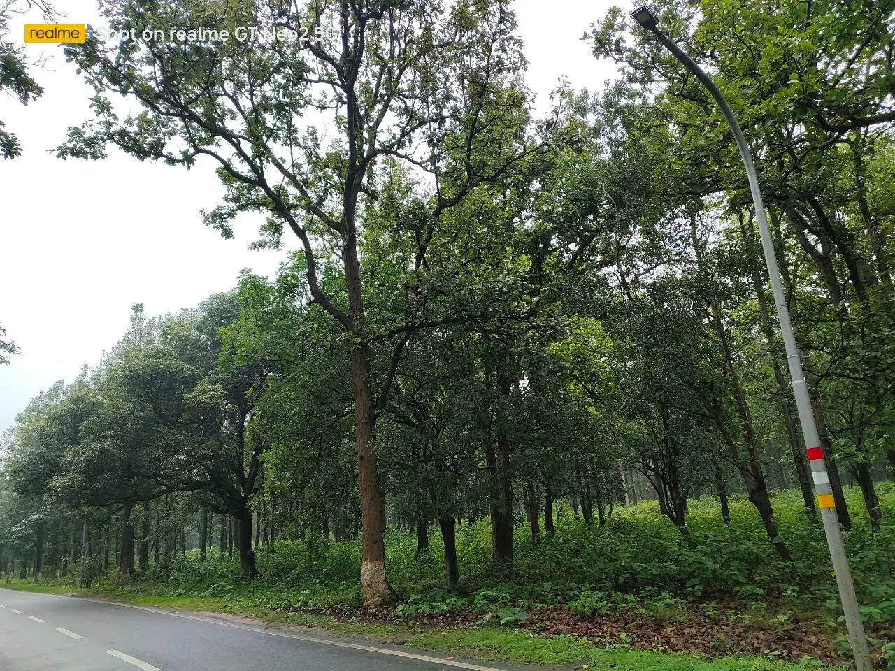 BIT Mesra Campus photo 11